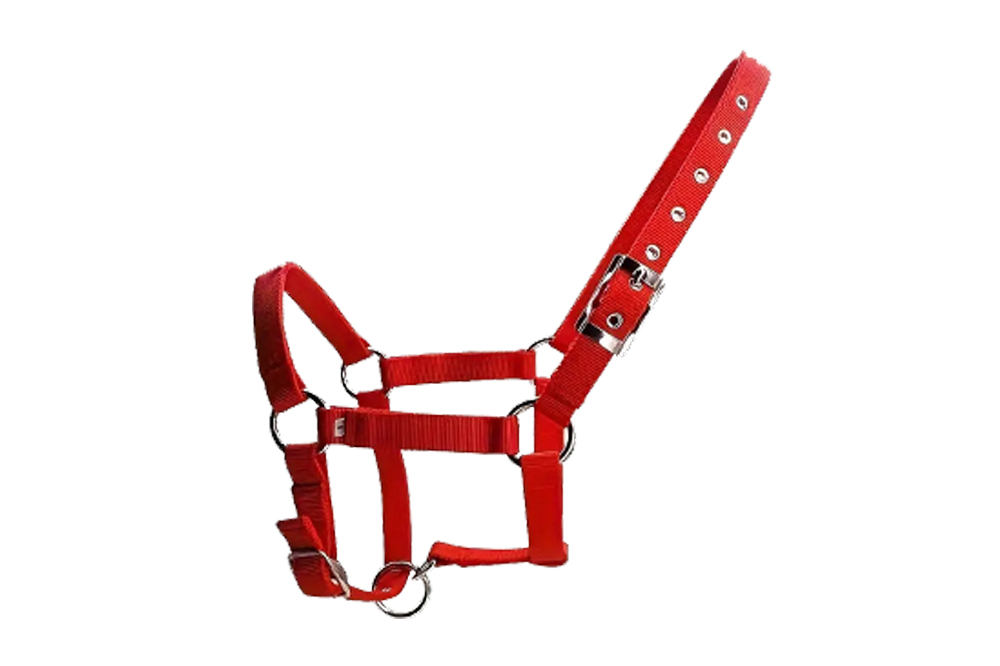 Halter