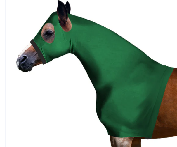 Horse Rugs